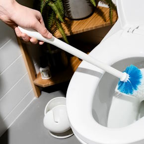 keep your toilet brush much cleaner